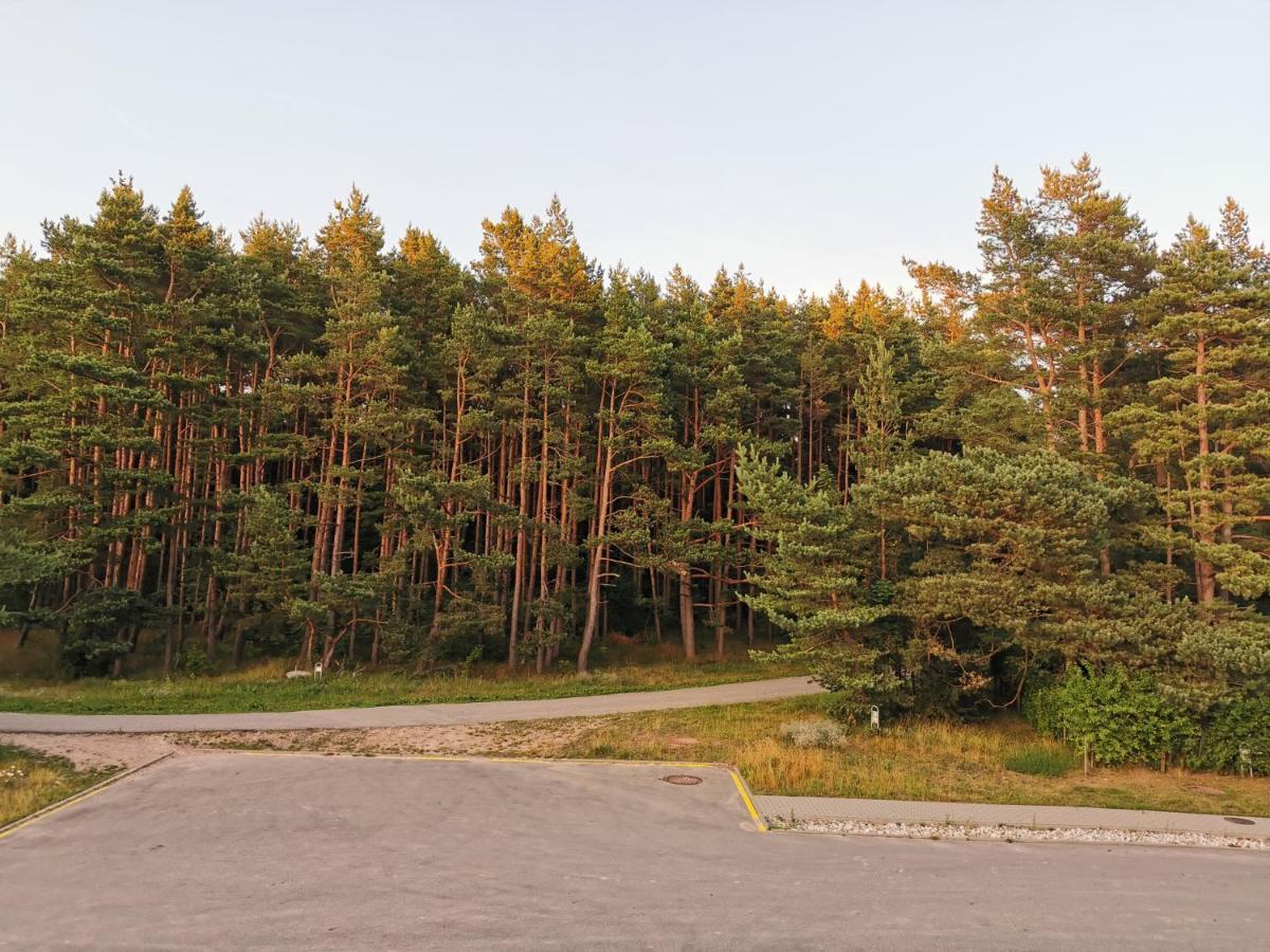 Melnrage Beach Cozy Apartments & Terrace - Pine View Sea Entry Klaipėda Exteriör bild